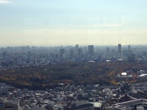 東京秋景色