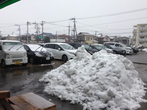 また雪です