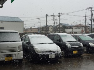 11月の雪