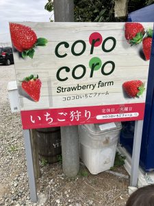 第9回　5000円で何をする？