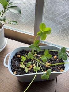 木山製作所幸せの🍀